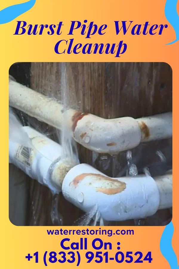 Burst Pipe Water Cleanup in Belvoir, NC