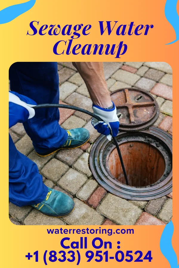 Sewage Water Cleanup in Belvoir, NC